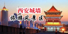 啪啪网址中国陕西-西安城墙旅游风景区